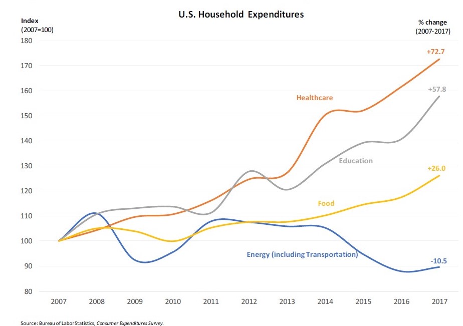household_expenditures_by_needs